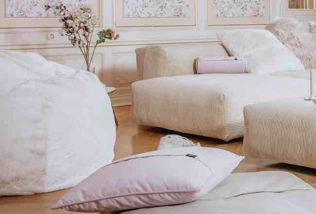 Vetsak beige corduroy couch and fluffy beanbag