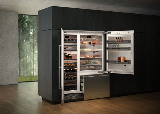 Kitchen with gaggenau fridge and wine cooler