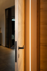 Led detail door
